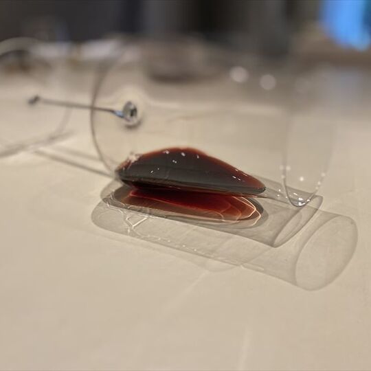 美味しさを映し出す料理のコレクション