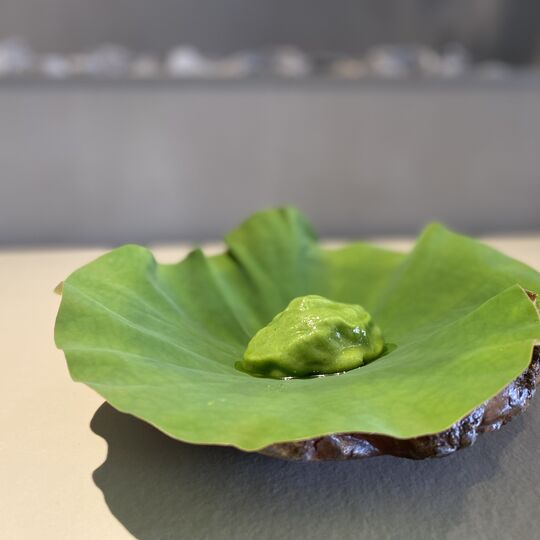 美味しさを映し出す料理のコレクション