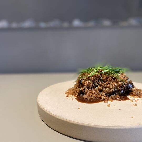 美味しさを映し出す料理のコレクション