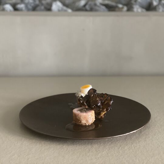 美味しさを映し出す料理のコレクション