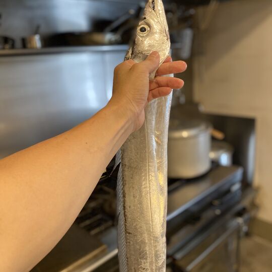 美味しさを映し出す料理のコレクション